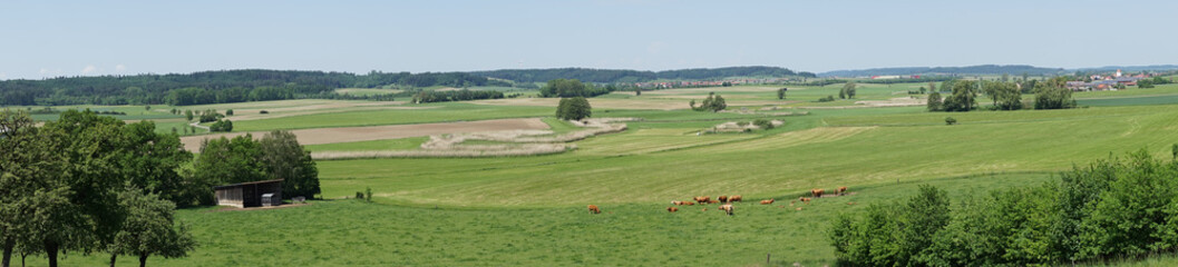 Wall Mural - landschaft