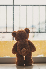 teddy bear