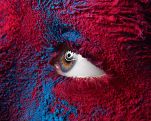 Macro And Close-up Creative Make-up Theme: Beautiful Female Eye With Dry Paint Dust Pigment On Face, Red And Blue Color