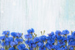 Blue Cornflower border on light blue background. Top view, copy space. Summer background