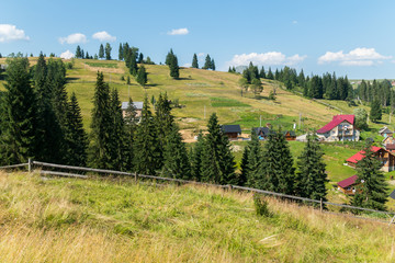 Wall Mural - Carpathian settlement with a base of rest in a picturesque place by the forest