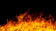 © 1981 Rustic Studio - Fire flames on a black background