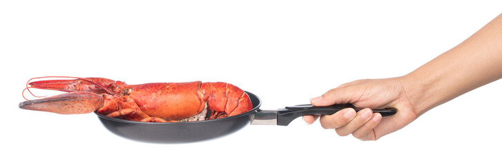 Wall Mural - hand holding Lobster on frying pan isolated on white background