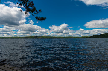 summer by the lake