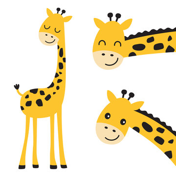 Fototapete - Cute smiling and peeking giraffe vector illustration.