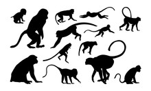 Set Of Monkey Silhouette Vector Illustration