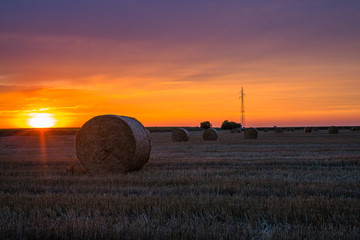 hay rolls on filed at sunset