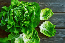 Colorful And Fresh Of Butterhead Lettuce With Shadow On Wooden Background.