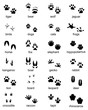 © Design Studio RM - Set of footprints of wild animals, illustration of black silhouette