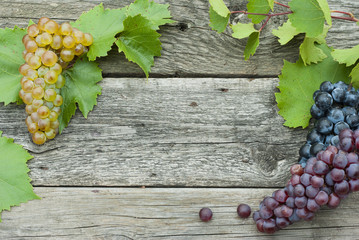 Wall Mural - Fruits frame, wooden