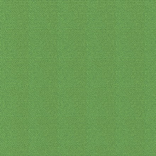 Grüne Schuppige Hintergrund Textur