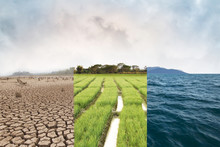 Climate Change, Compare Image With Drought, Green Field And Ocean Metaphor Nature Disaster, World Climate And Environment, Ecology System.