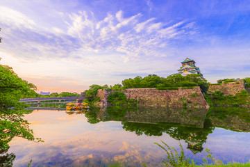 Wall Mural - 大阪城の風景