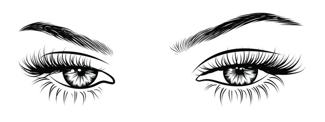 Illustration of woman's sexy luxurious eye with perfectly shaped eyebrows and full lashes. Hand-drawn Idea for business visit card, typography vector. Perfect salon look.