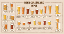 Beer Types. A Visual Guide To Types Of Beer. Various Types Of Beer In Recommended Glasses. Vector Illustration