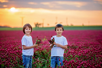 Canvas Print - Beautiful children in gorgeous crimson clover field on sunset