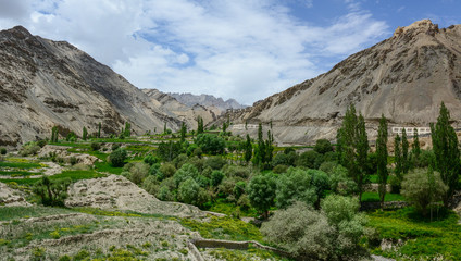 Wall Mural - Mountain scenery of Kashmir & Jammu