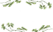 Beautiful White Banner With Painted Ginkgo Leaves