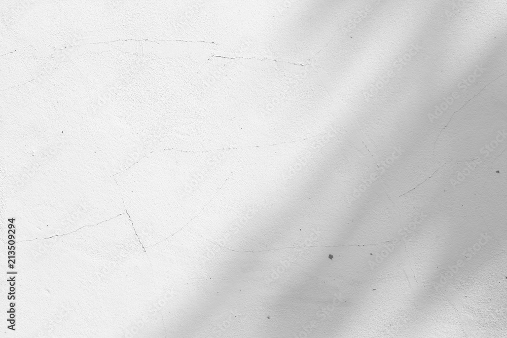 Black and White abstract background textuer of shadows leaf on a concrete wall - obrazy, fototapety, plakaty 