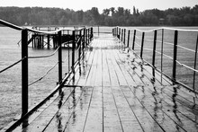 Bridge Stretching Into The River, The Rain, The Wet Board And Iron Railings, Prospect, On The Horizon, The Forest, Drops And Circles On The Water