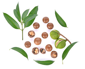 Wall Mural - Top view of Macadamia fruit isolated on white background