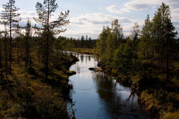 Wall Mural - wilderness