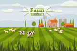 Rural cute landscape with farm and herd cows. Cartoon style, vector, isolated