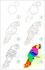 Wall Mural - page shows how to learn step by step to draw a cute parrot. developing children skills for drawing a