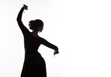Silhouette Of Spanish Girl Flamenco Dancer On A Light Background. Free Space For Your Text