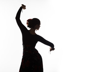 silhouette of spanish girl flamenco dancer on a light background. free space for your text