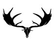 prehistoric Irish elk (Megaloceros giganteus) or giant deer skull and antlers black vector silhouette