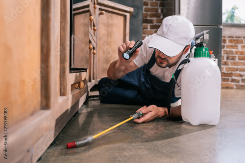 Fotografía pest control worker lying on floor and spraying pesticides under cabinet in kitc