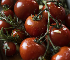 Wall Mural - Cherry tomatoes with rosemary food photography recipe idea