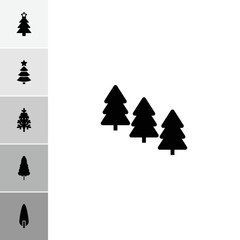 Wall Mural - collection of 6 fir filled icons