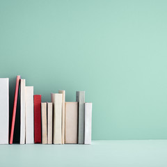 Miniature books on a shelf