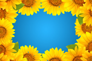 Fotomurales - Frame of sunflowers on a blue background. Background with copy space.
