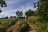 Fototapeta Na ścianę - panorama Bieszczad z Wielkiej Rawki 