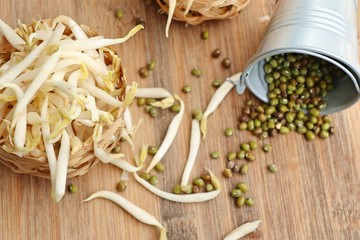 Wall Mural - Bean sprouts with seed