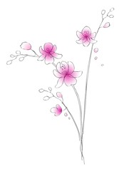 Sticker - Watercolor and contour orchids - digital vector artwork