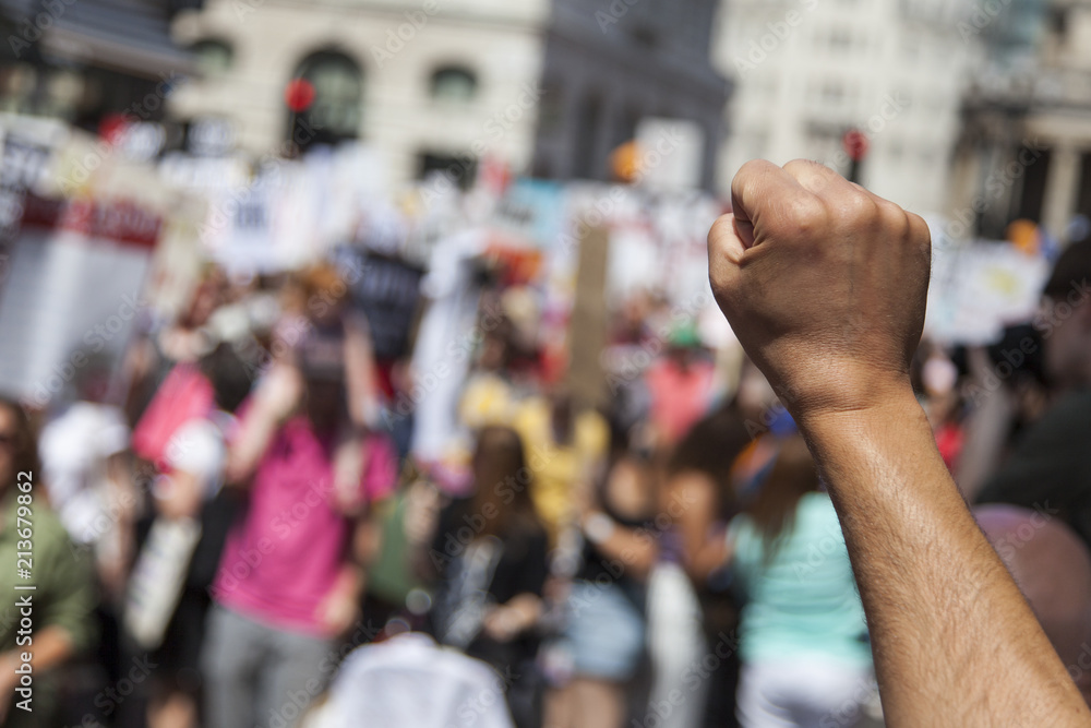 A raised fist of a protestor at a political demonstration - obrazy, fototapety, plakaty 
