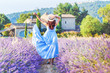 Beautiful young woman enjoy blooming lavender in Provence, France, national park Luberon. Fashion outfit blue dress, straw hat. Back view. Traditional house in background. Violet in nature.