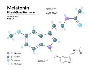 Wall Mural - Melatonin. Pineal Gland Hormone. Regulator of Diurnal Rhythms. Structural Chemical Molecular Formula and 3d Model. Atoms are Represented as Spheres with Color Coding. Vector Illustration