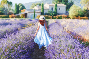 Beautiful young woman walking the field of lavender in Provence, France, national park Luberon. Fashion outfit blue dress, straw hat. Back view. Traditional house in background. Violet in nature.