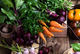 Fresh organic homegrown colofrul vegetables