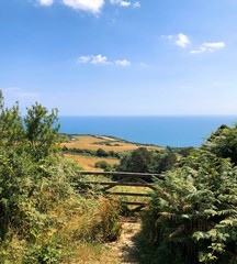 Sticker - Dorset Sea Landscape