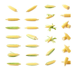 Wall Mural - Ear of corn corncob isolated