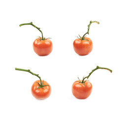 Wall Mural - Ripe red tomato isolated