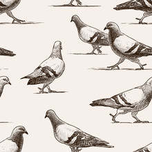 Seamless Background Of Walking City Pigeons