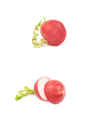 Wall Mural - Single radish isolated