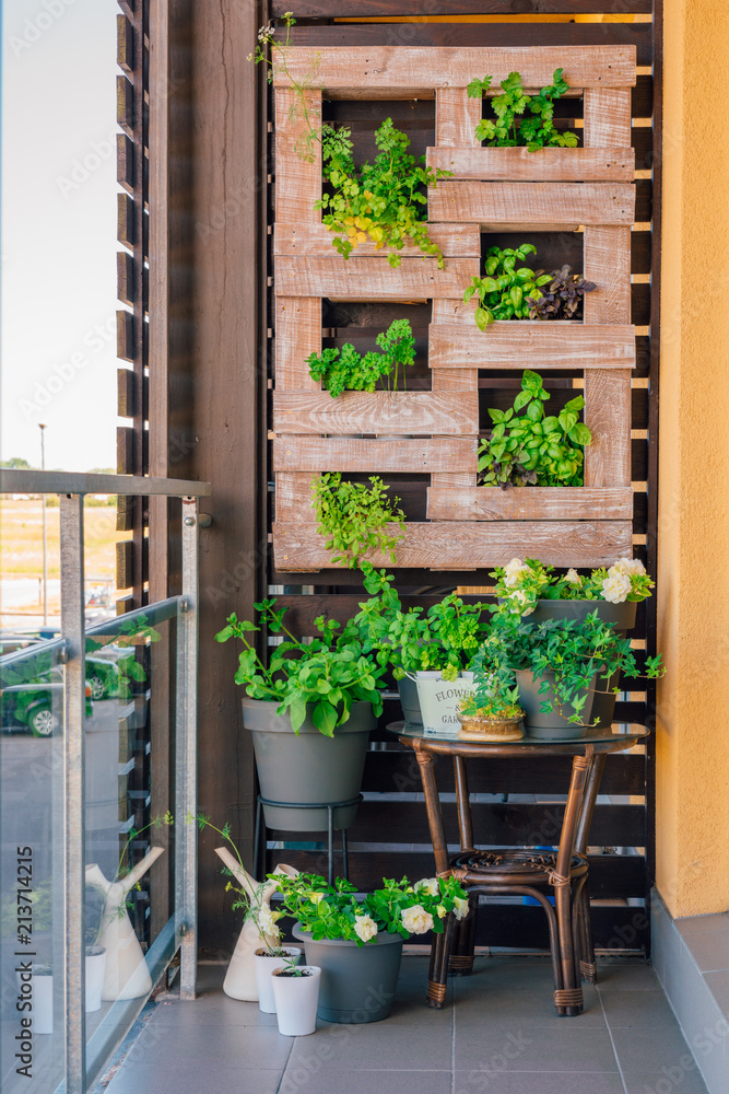 Green grass and plant and wood pallet decoration on the brown wooden wall. - obrazy, fototapety, plakaty 